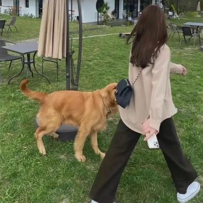 老公不及格